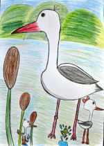 Pekarčíková Soňa.jpg